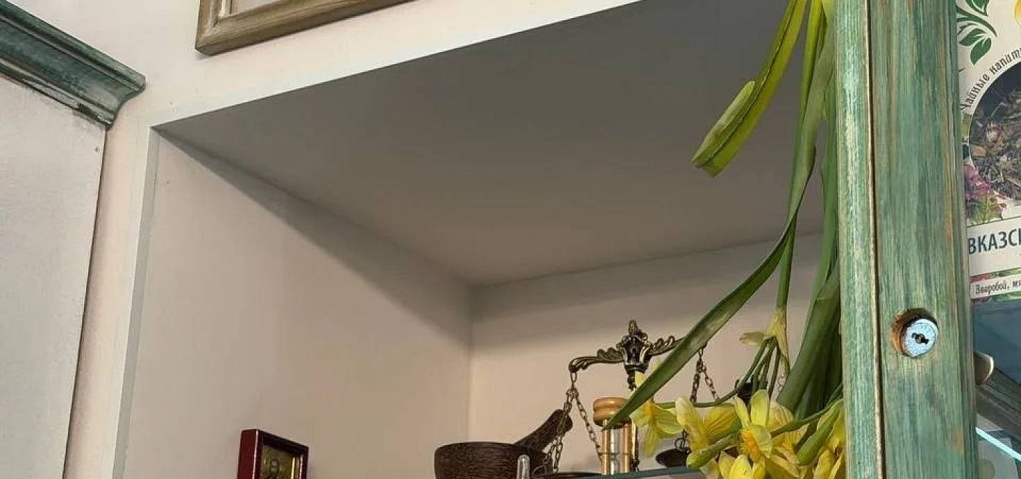 От учебной дисциплины — к реальной работе провизора